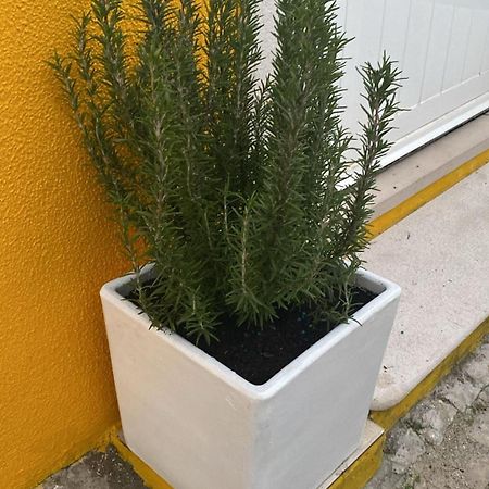 Rio D'Sal Βίλα Alcochete Εξωτερικό φωτογραφία